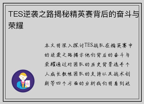 TES逆袭之路揭秘精英赛背后的奋斗与荣耀