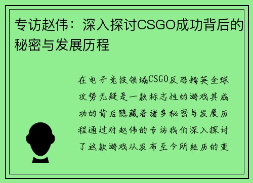 专访赵伟：深入探讨CSGO成功背后的秘密与发展历程